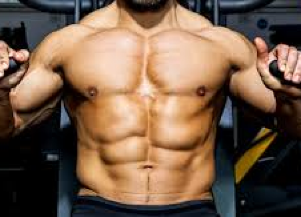 chest